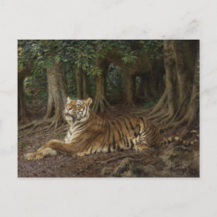 Carte Postale Tigre couché par Geza Vastagh