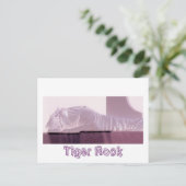 Carte Postale Tigre d'Albino (Debout devant)