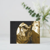Carte Postale Tigre d'Amur à Sepia (Debout devant)