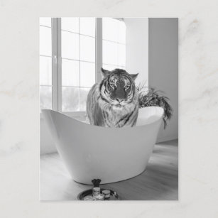 Carte Postale Tigre dans la baignoire Noir Blanc Art de la salle