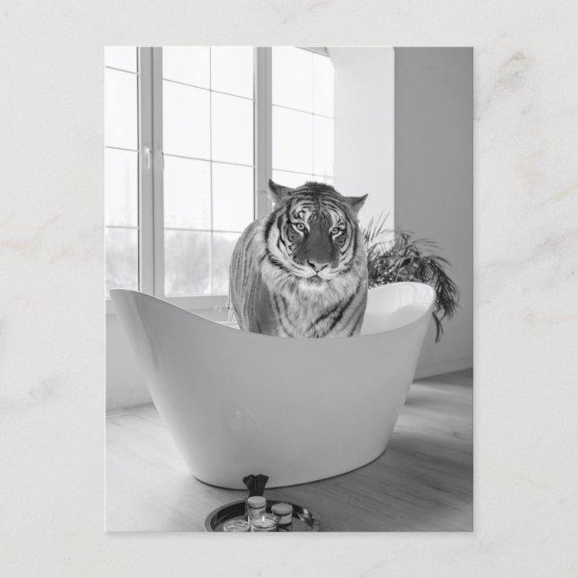 Carte Postale Tigre dans la baignoire Noir Blanc Art de la salle (Devant)