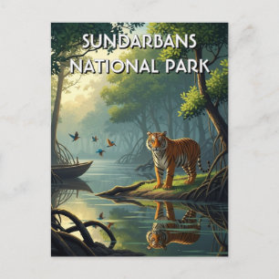 Carte Postale Tigre dans le parc national de Sundarbans en Inde