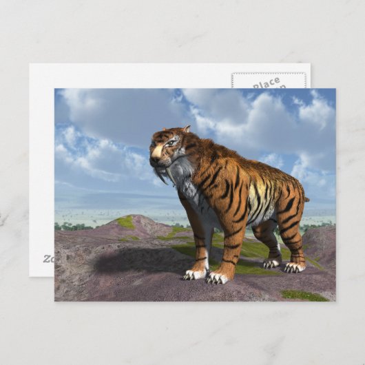Carte Postale Tigre de dent Saber (Devant / Derrière)