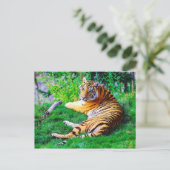 Carte Postale Tigre de salon peint dans la faune de l'herbe (Debout devant)