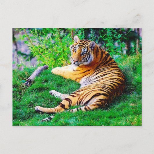 Carte Postale Tigre de salon peint dans la faune de l'herbe (Devant)