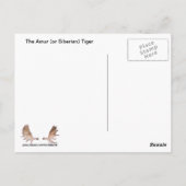 Carte Postale Tigre de Sibérie (Dos)