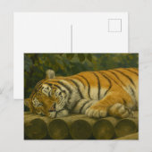 Carte Postale Tigre dormant sur les billes en bois (Devant / Derrière)