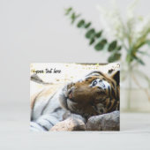 Carte Postale Tigre en train (Debout devant)