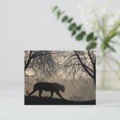 Carte Postale Tigre et cerf (Debout devant)