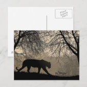 Carte Postale Tigre et cerf (Devant / Derrière)