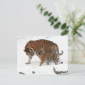 Carte Postale Tigre et cub de Sibérie (Debout devant)