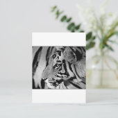 Carte Postale Tigre noir et blanc (Debout devant)