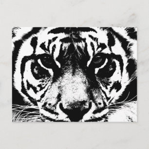 Carte Postale Tigre noir et blanc