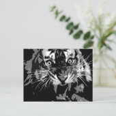 Carte Postale Tigre noir et blanc (Debout devant)