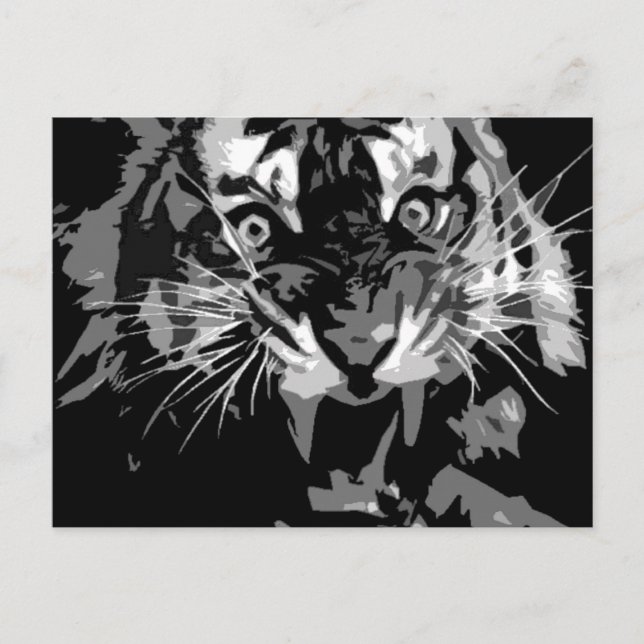 Carte Postale Tigre noir et blanc (Devant)