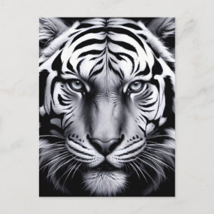 Carte Postale tigre noir et blanc (mise à jour)