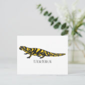 Carte Postale Tigre salamandre (Debout devant)