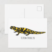 Carte Postale Tigre salamandre (Devant / Derrière)