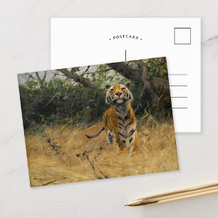 Carte Postale Tigre sur la montre Wilhelm Kuhnert