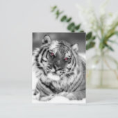 Carte Postale Tigre teinté rose (Debout devant)