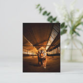 Carte Postale Tigre urbain (Debout devant)