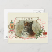 Carte Postale Tigre vintage (Devant / Derrière)