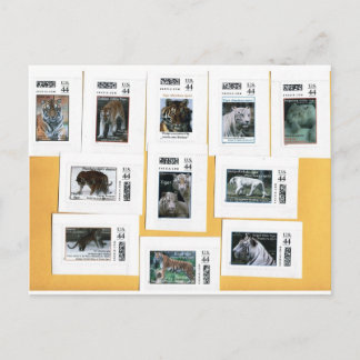 Carte Postale Tigres des 4 couleurs