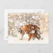 Carte Postale Tigres d'hiver (Devant / Derrière)