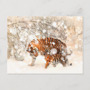Carte Postale Tigres d'hiver