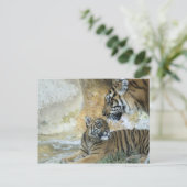 Carte Postale Tigres du Bengale relaxant (Debout devant)