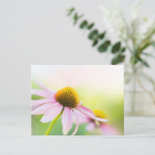 Carte Postale Til Sunbeams Trouvez-Vous (Debout devant)