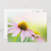 Carte Postale Til Sunbeams Trouvez-Vous (Devant / Derrière)