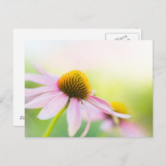 Carte Postale Til Sunbeams Trouvez-Vous (Devant / Derrière)