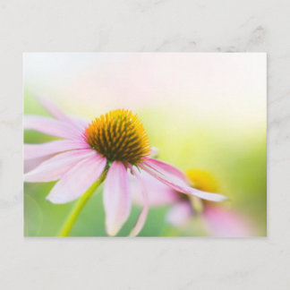 Carte Postale Til Sunbeams Trouvez-Vous