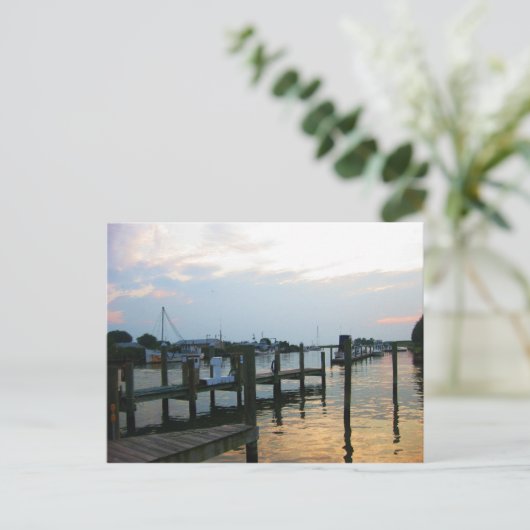 Carte Postale Tilghman Island, MD (Debout devant)