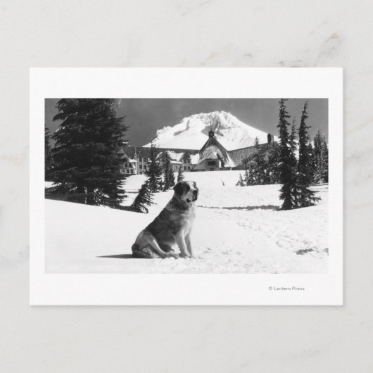 Carte Postale Timberline Lodge et "Lady" le propriétaire (Devant)