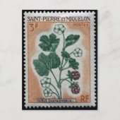 Carte postale Timbre gravé vintage (Devant)