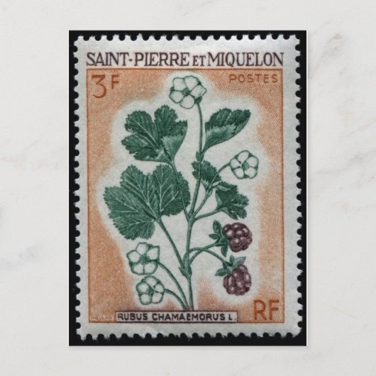 Carte postale Timbre gravé vintage (Devant)