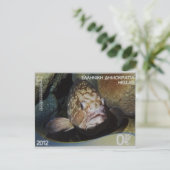 Carte Postale Timbre grec épinephelus (Debout devant)