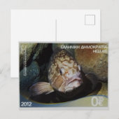 Carte Postale Timbre grec épinephelus (Devant / Derrière)