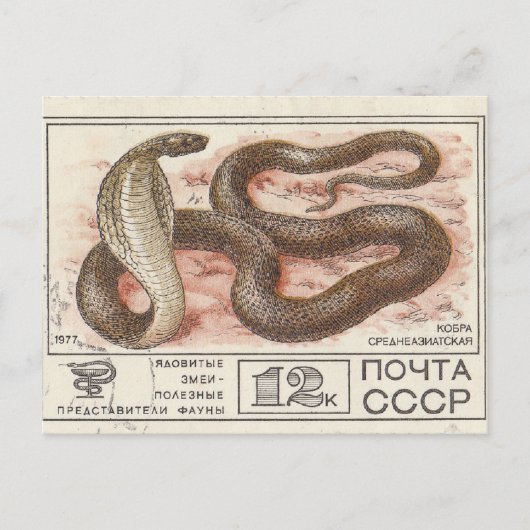 Carte Postale Timbre postal soviétique cobra d'asie centrale (Devant)