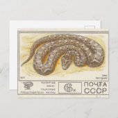 Carte Postale Timbre postal soviétique Sable trou (Devant / Derrière)