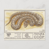 Carte Postale Timbre postal soviétique Sable trou (Devant)