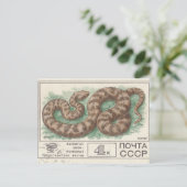 Carte Postale Timbre postal soviétique Viper (Debout devant)