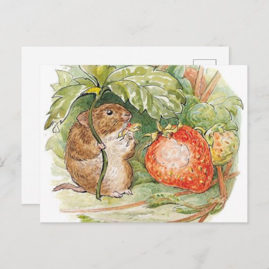 Carte Postale Timmy Willie Mouse - Beatrix Potter (Devant / Derrière)