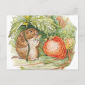 Carte Postale Timmy Willie Mouse - Beatrix Potter (Devant)