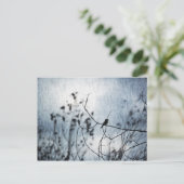 Carte Postale Tiny Bird Silhouette Postcard (Debout devant)