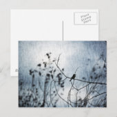 Carte Postale Tiny Bird Silhouette Postcard (Devant / Derrière)