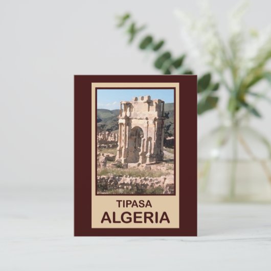 Carte Postale Tipasa Algérie (Debout devant)