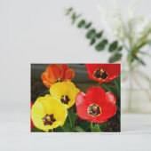 Carte Postale Tiptoe à travers le... (Debout devant)